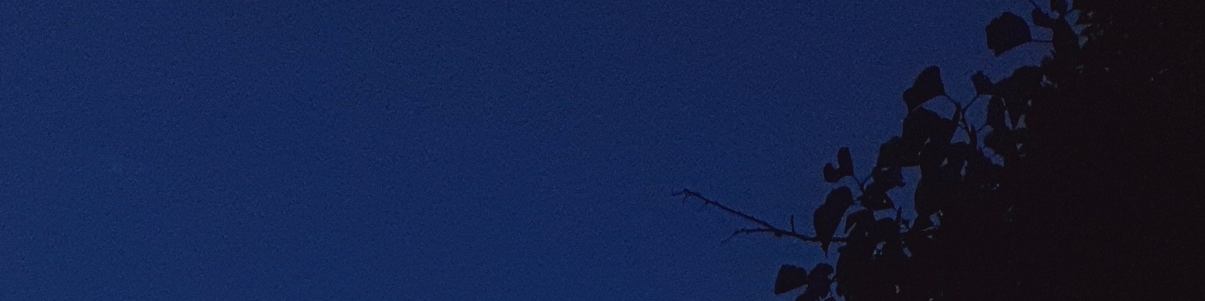 user-banner-image