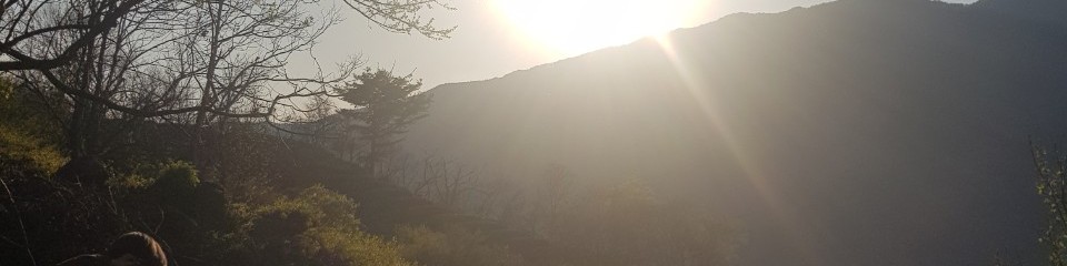user-banner-image