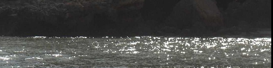 user-banner-image