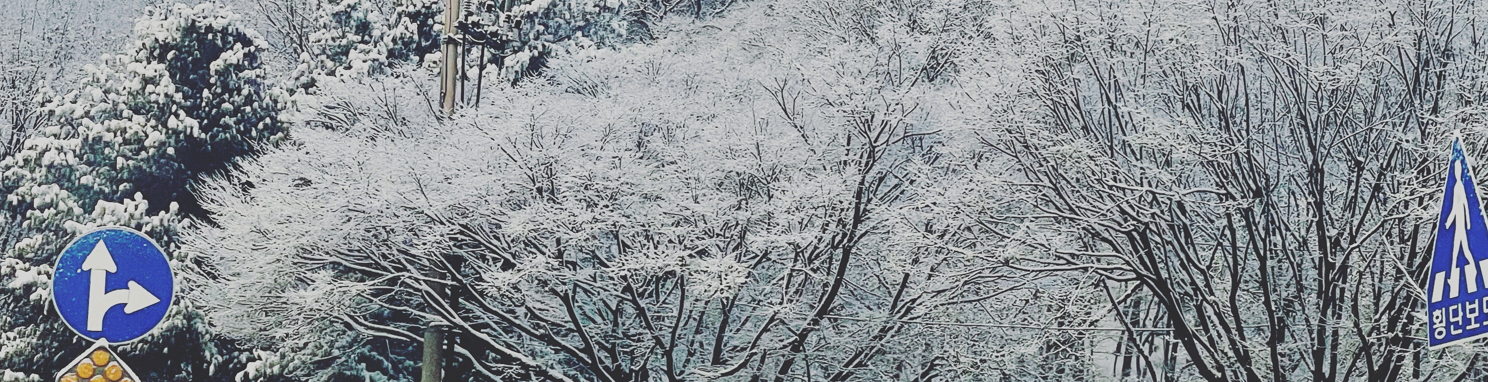 user-banner-image