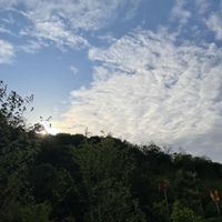 하하라의 경력, 학력 정보