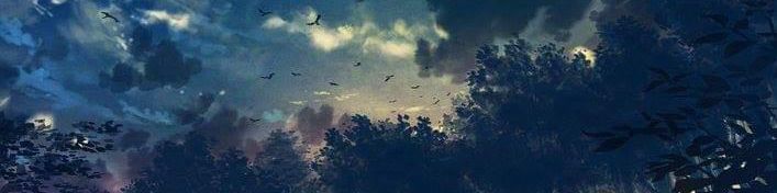 user-banner-image