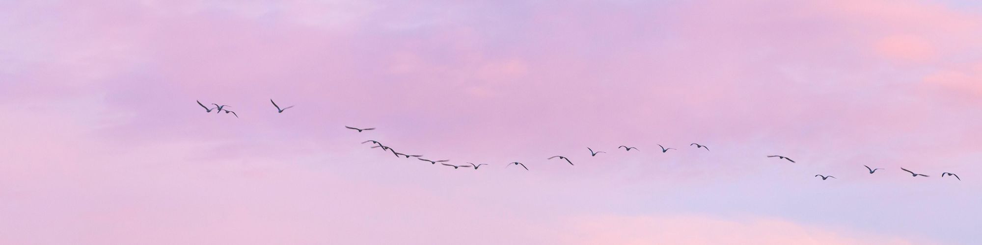 user-banner-image
