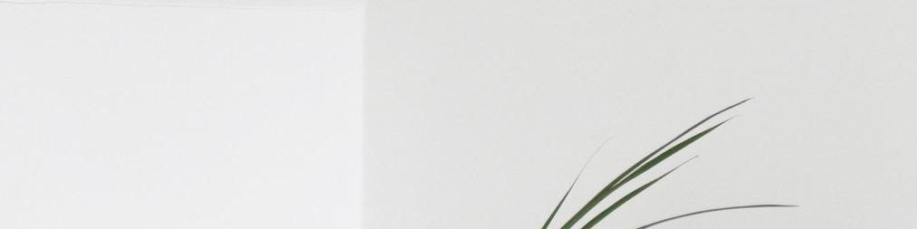 user-banner-image