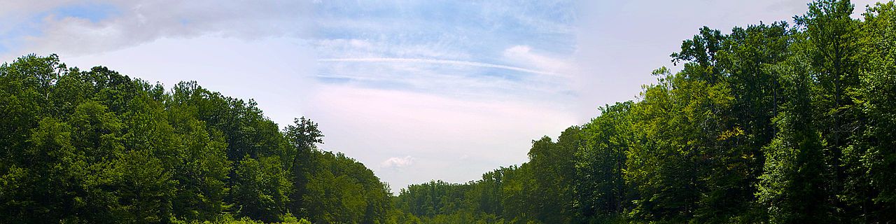 user-banner-image