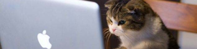 user-banner-image
