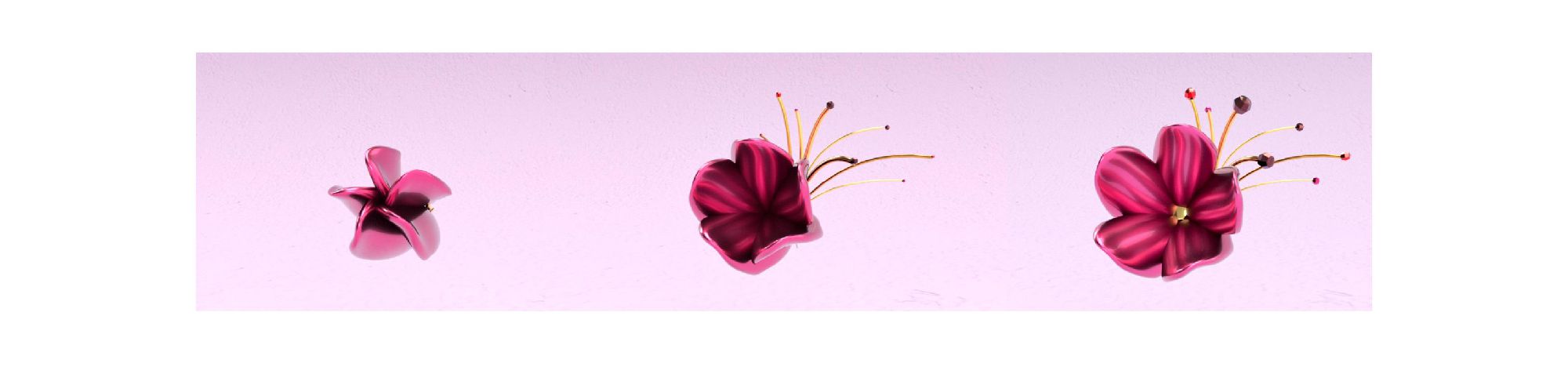 user-banner-image
