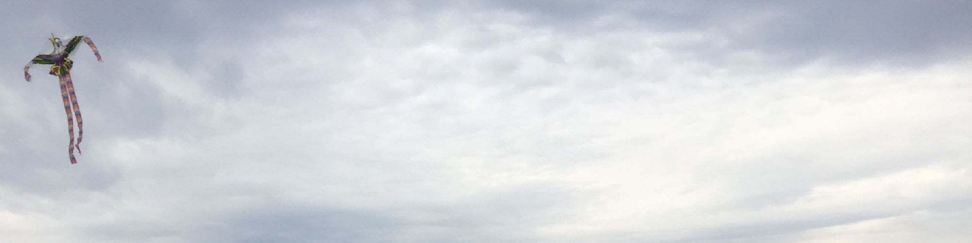 user-banner-image