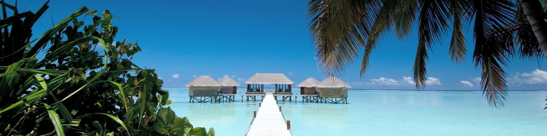 user-banner-image