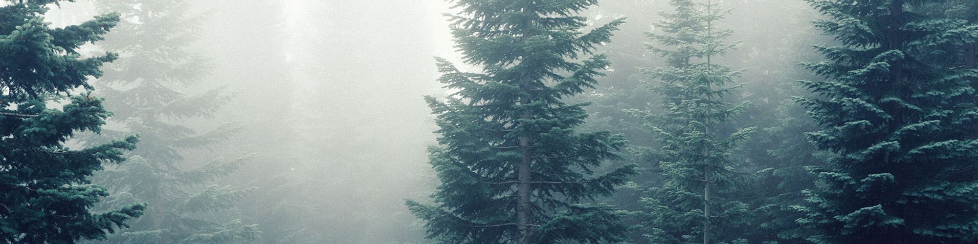 user-banner-image