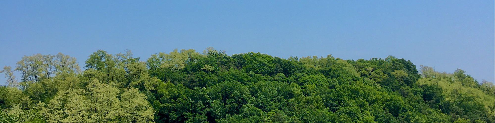 user-banner-image