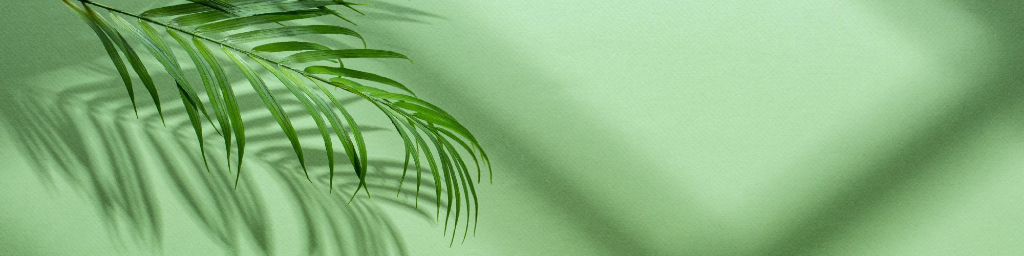 user-banner-image