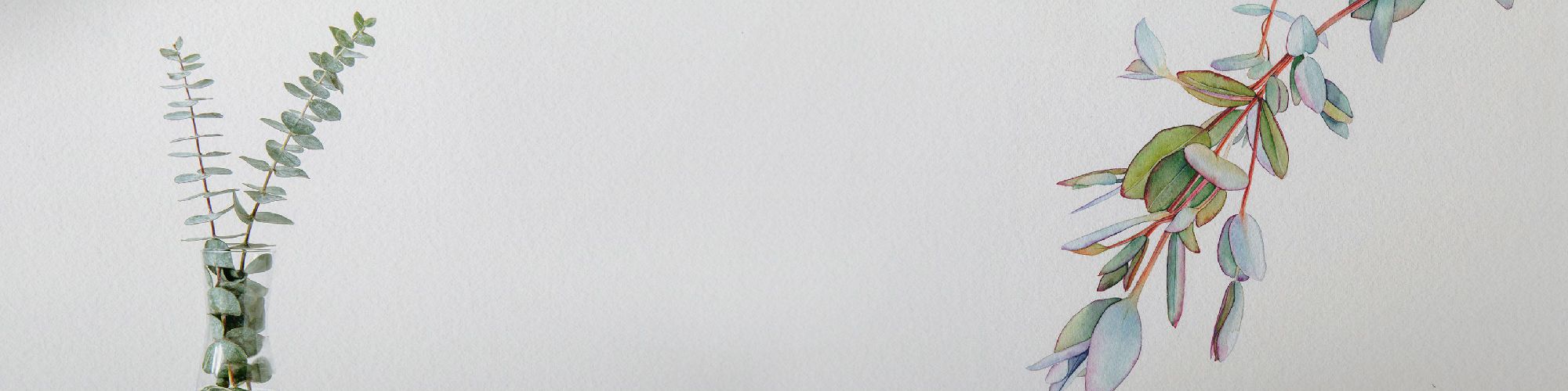 user-banner-image