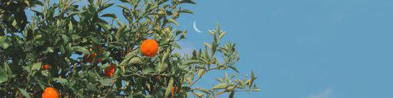 user-banner-image