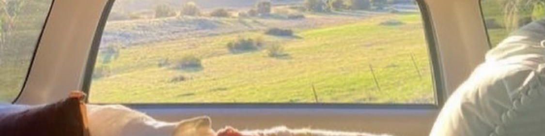 user-banner-image