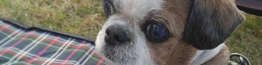 user-banner-image