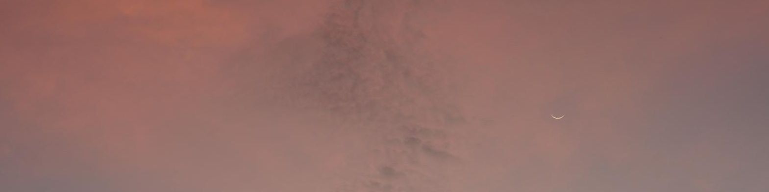 user-banner-image