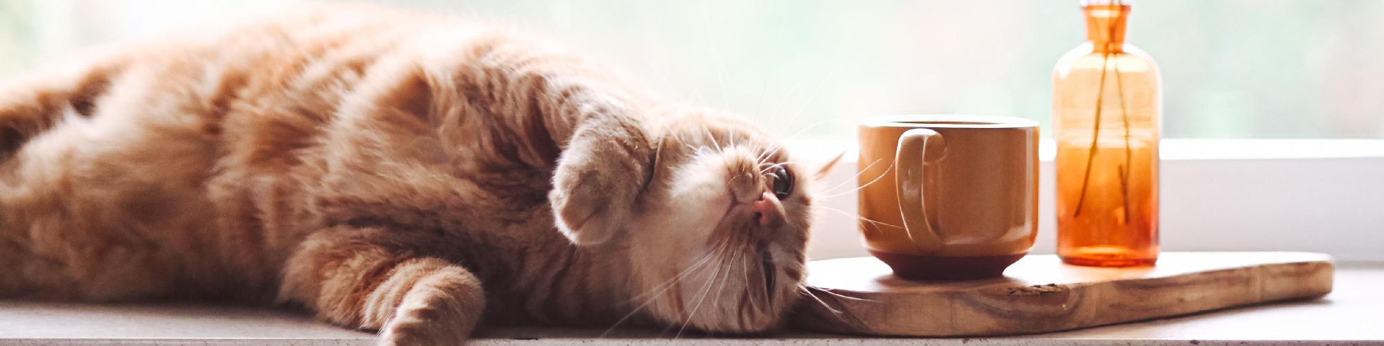 user-banner-image