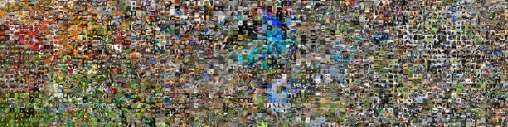 user-banner-image