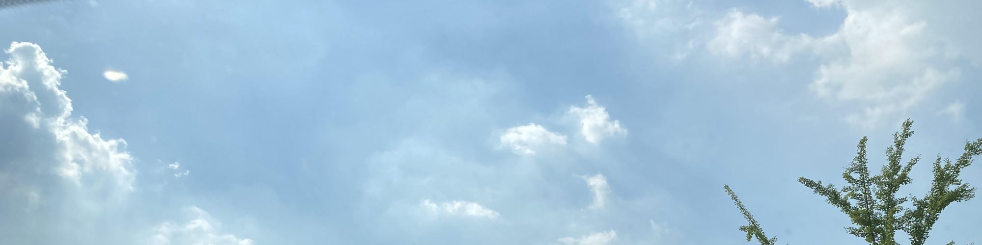 user-banner-image