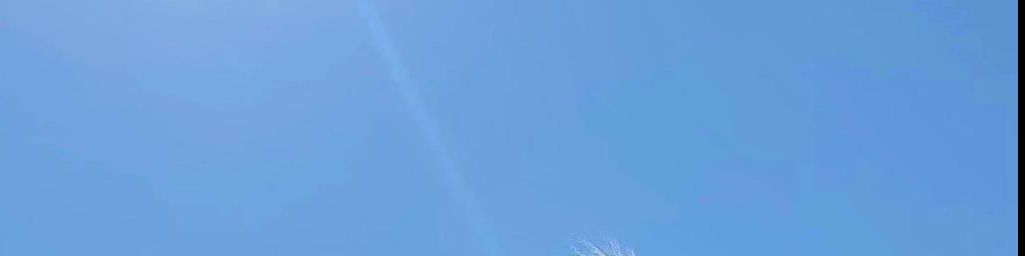 user-banner-image