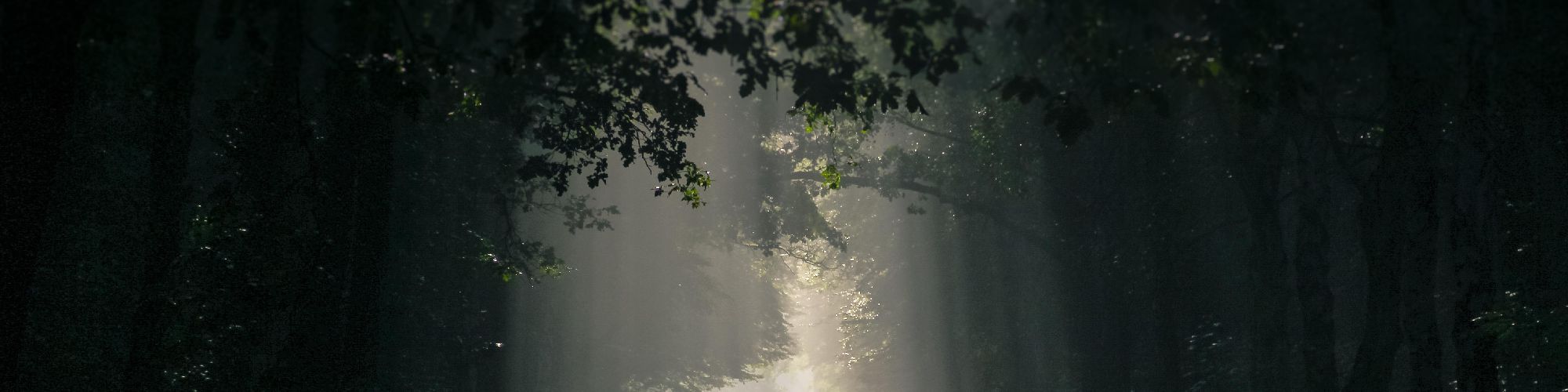 user-banner-image