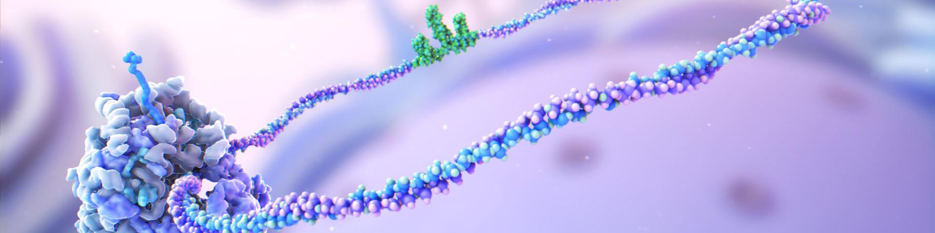 user-banner-image