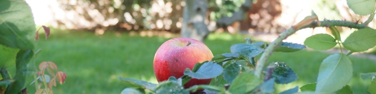 user-banner-image
