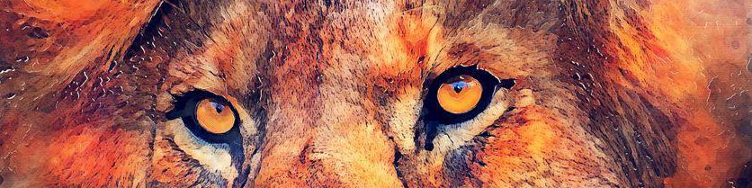 user-banner-image