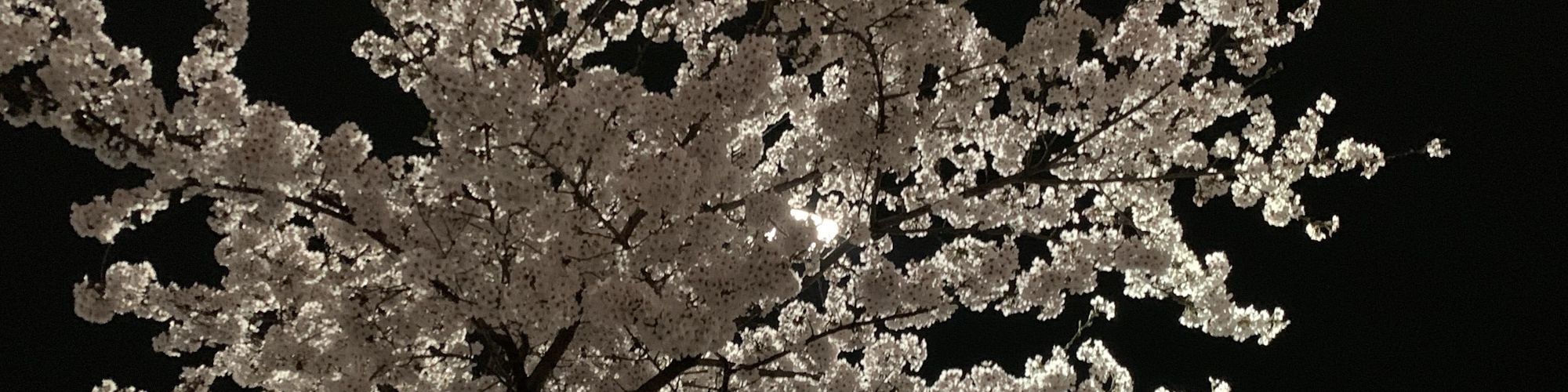 user-banner-image