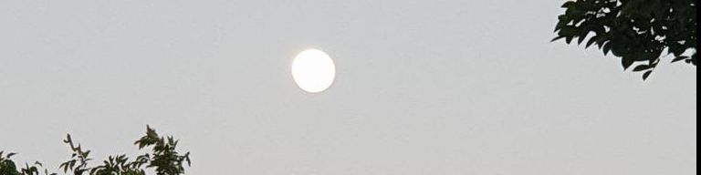 user-banner-image