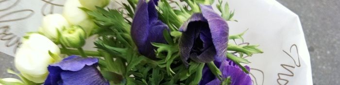 user-banner-image