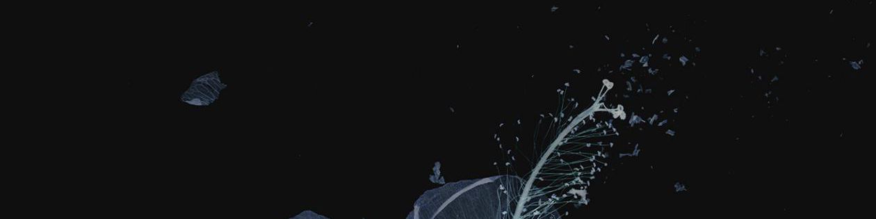 user-banner-image