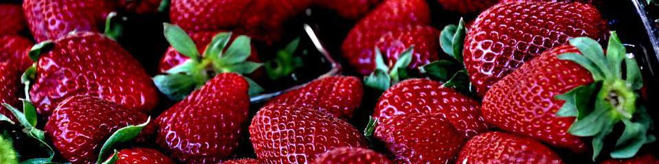 user-banner-image
