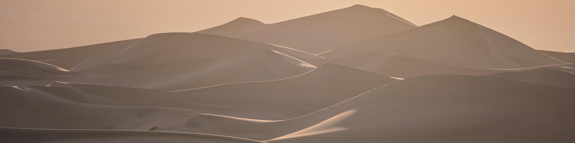 user-banner-image