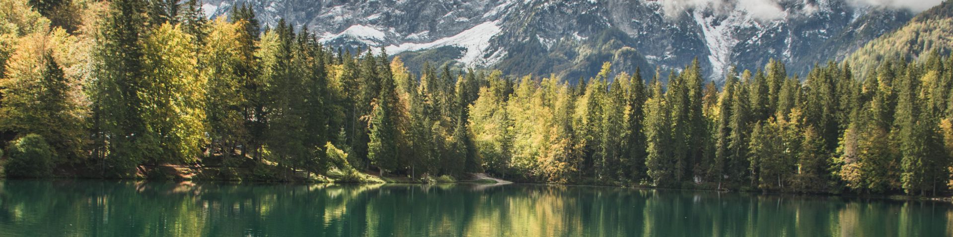 user-banner-image