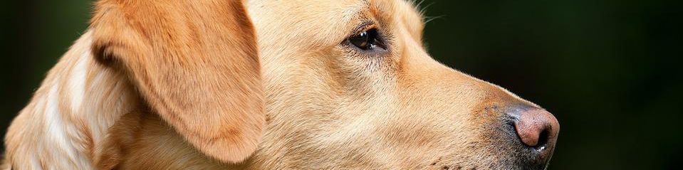 user-banner-image