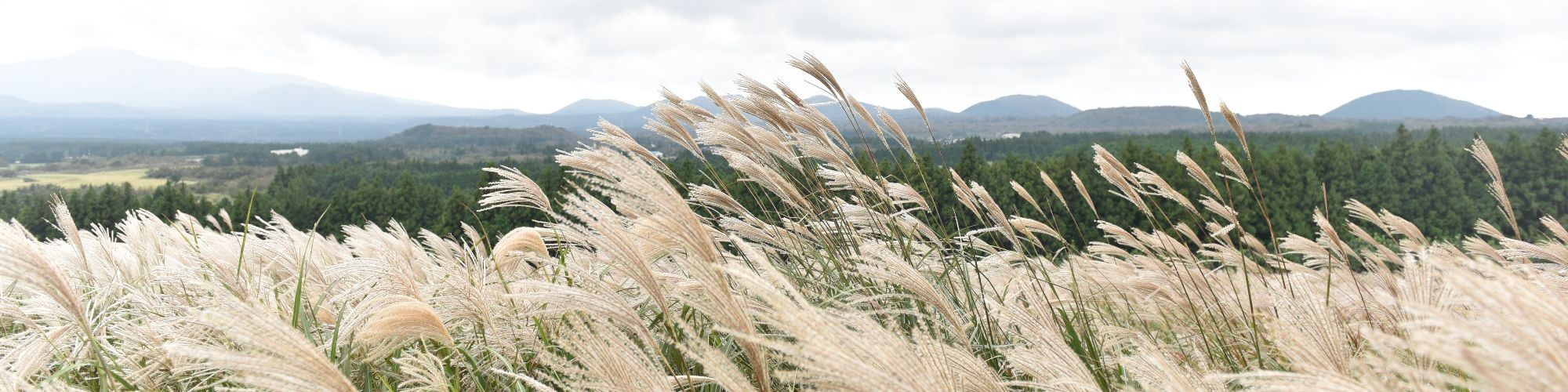 user-banner-image
