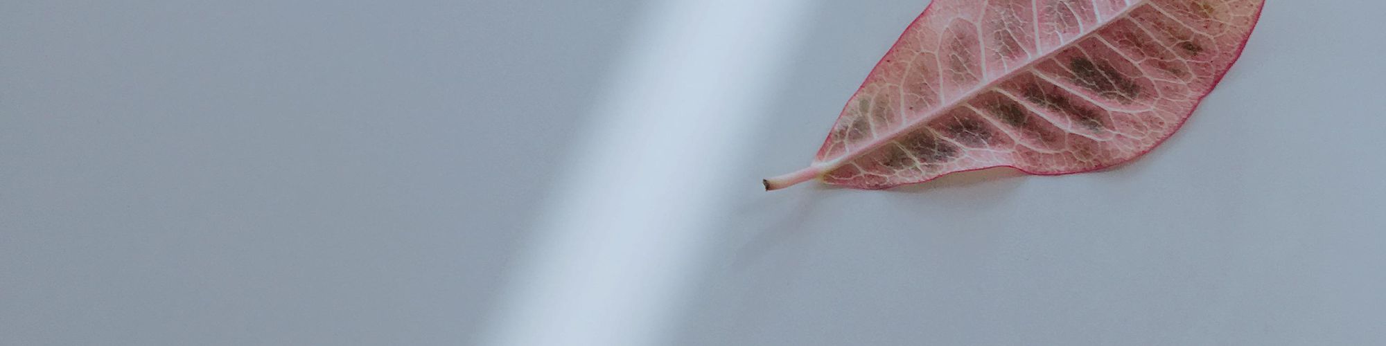 user-banner-image