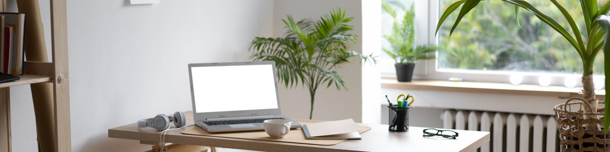 user-banner-image