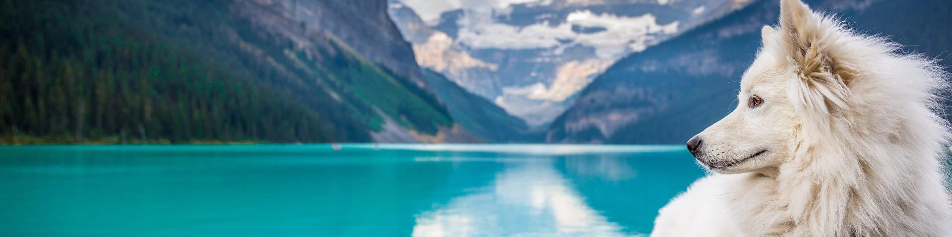 user-banner-image
