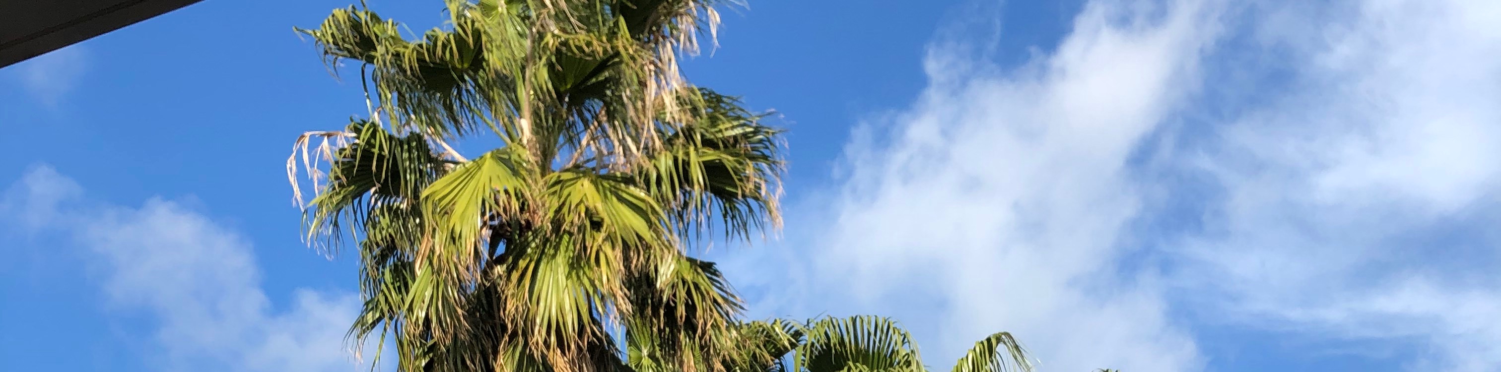 user-banner-image