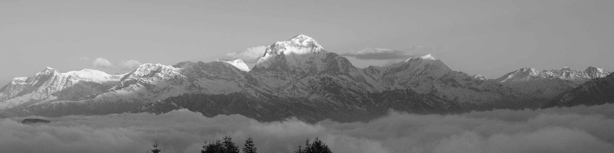user-banner-image