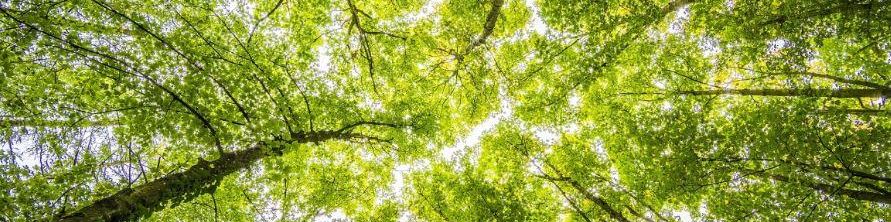 user-banner-image