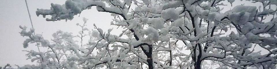 user-banner-image