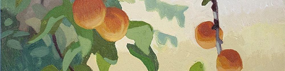 user-banner-image