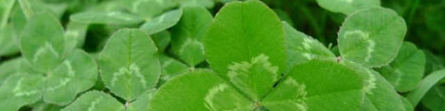 user-banner-image