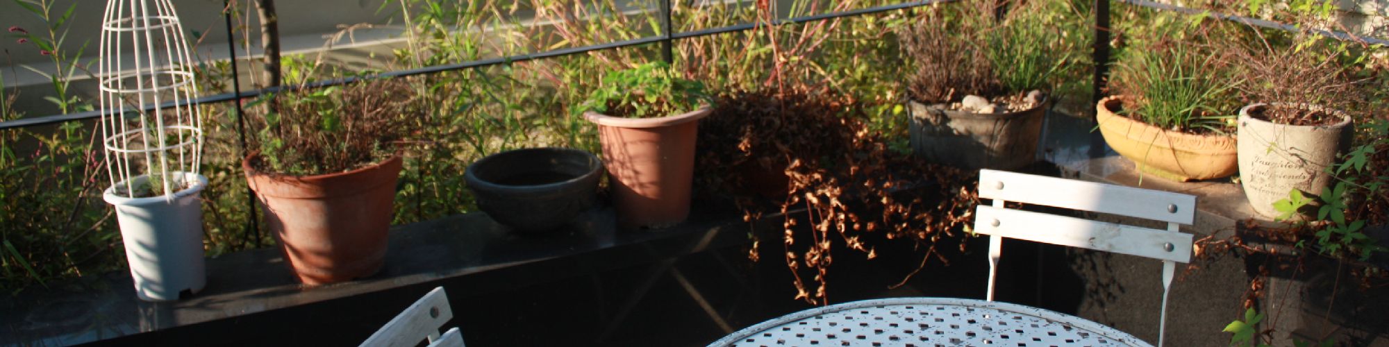 user-banner-image