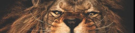 user-banner-image