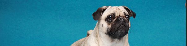 user-banner-image